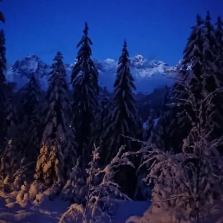 Homestay szállás Harrer *