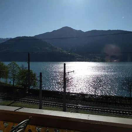 Harrer Homestay szállás *