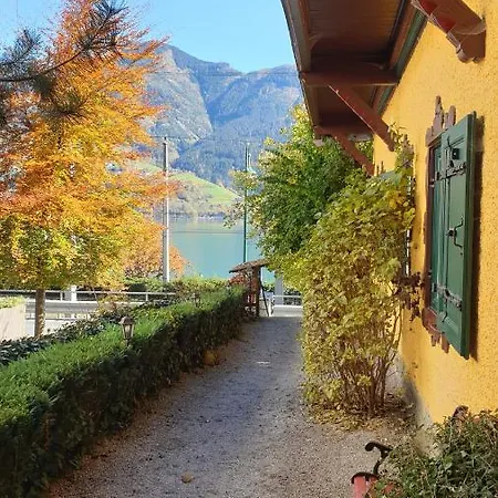 Homestay Appartement Harrer Zell am See