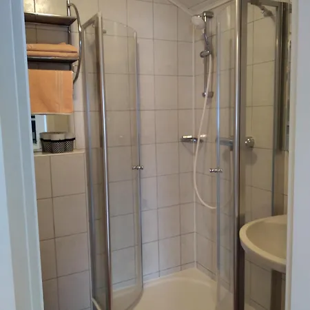 Homestay Appartement Harrer Zell am See