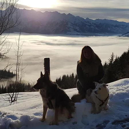 Homestay szállás Harrer