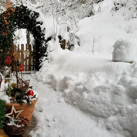 Homestay szállás Harrer