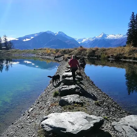 בית אירוח Harrer