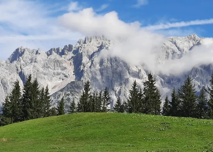 Appartement Harrer Homestay Zell am See