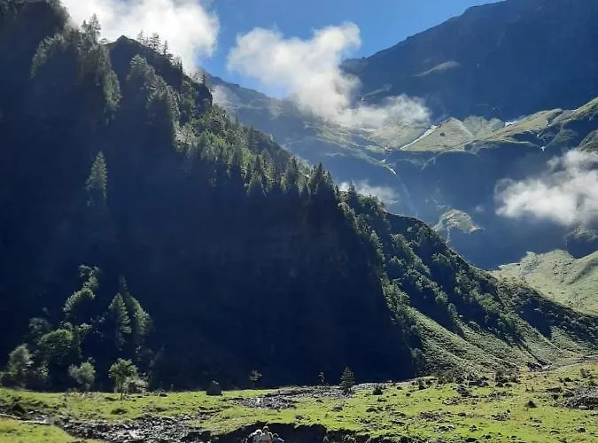 Homestay Appartement Harrer *