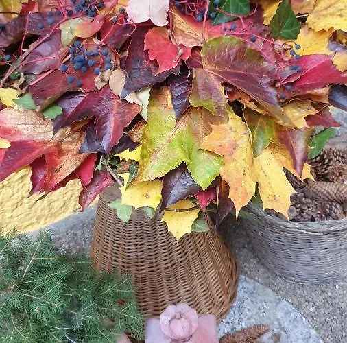 Appartement Harrer * Zell am See