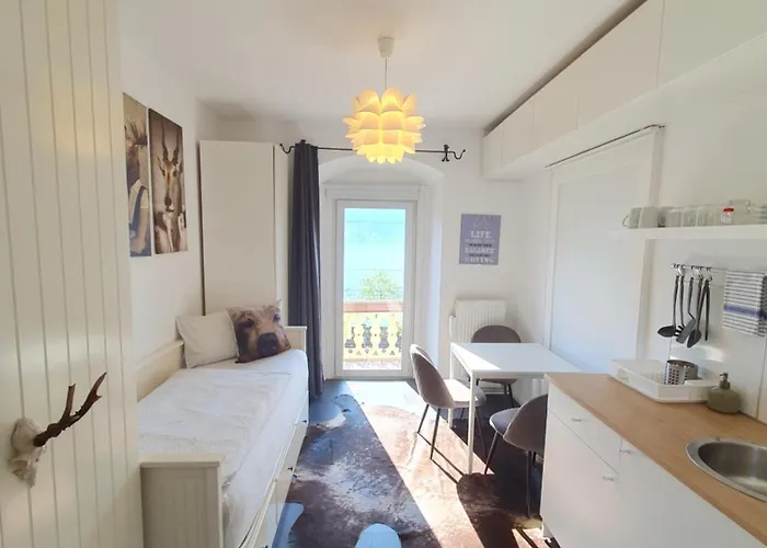 Homestay Appartement Harrer Zell am See