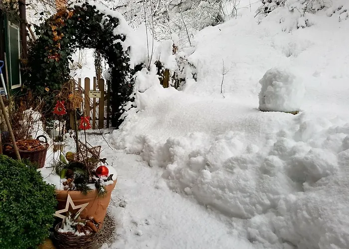 Homestay Appartement Harrer