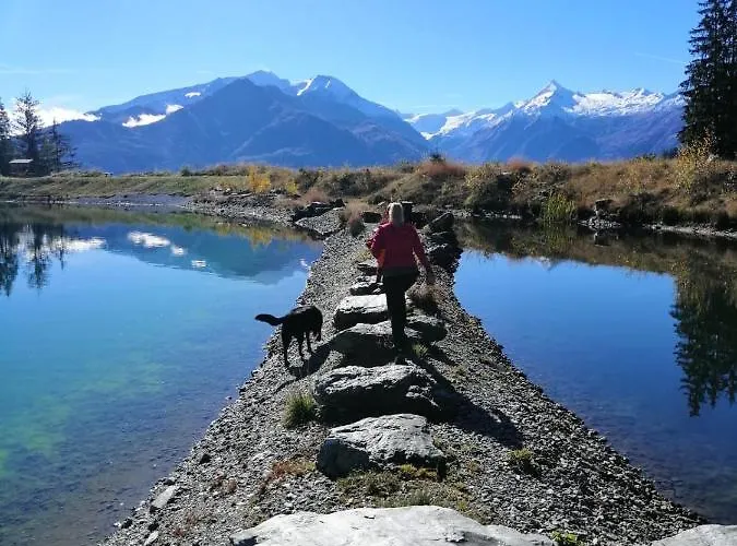 Homestay Appartement Harrer